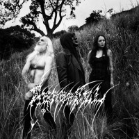 Album cover for Fallen Angel