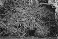Album cover for A Journey Through the Darkest of Forests