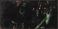 Album cover for II: Chemognosis - A Shortcut to Mushrooms