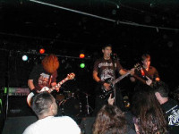 Ash & Elm