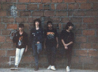 Album cover for Devastación infernal