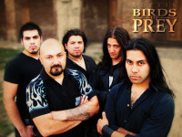 Birds of Prey