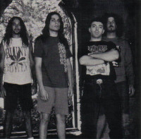 Rotted Remnants