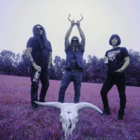 Album cover for The Baleful King