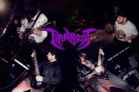 Parkcrest / Critical Defiance