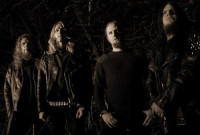 Varg