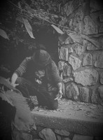 Pestilential Hymns