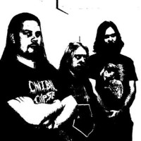 Dark Perversions / Nuclear Winter