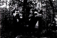 From the Eastern Forest