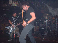Album cover for Social Infestation