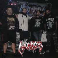 Beinvenidas al mundo del terror