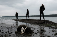 Album cover for Visions of Collapse