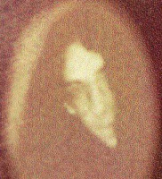 Theatrum October