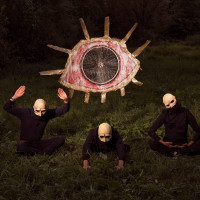 Album cover for Stadsluik