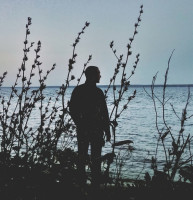 Album cover for Сигнал