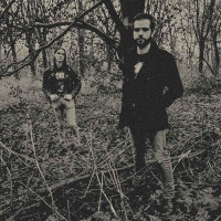 Album cover for The Withered Roots of Reality