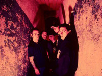 Our Decayed Remains