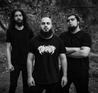 Album cover for Vicious Structure of the Crucified