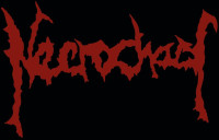 Album cover for Mortal Angels Descent